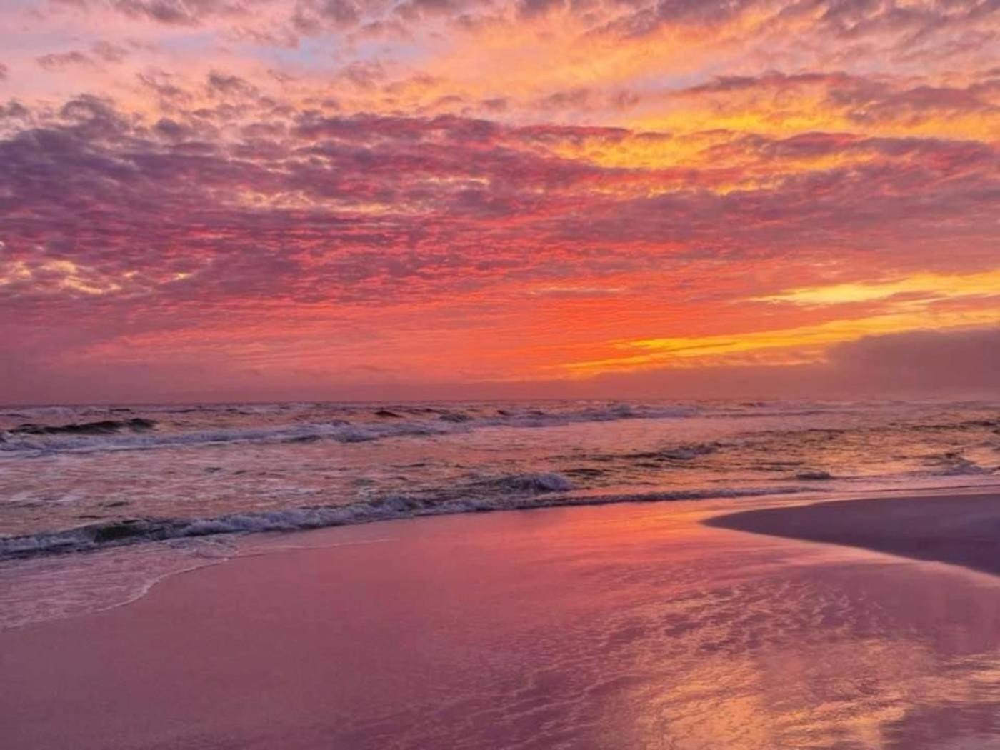 5 Star Resort 11Th Fl Stunning Sunrise 2Br 2Ba King Suite,Pools ,Shuttle Or Walk To Beach Destin Dış mekan fotoğraf